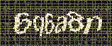 CAPTCHA_picture