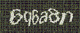 CAPTCHA_picture